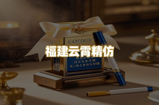 福建云霄精仿